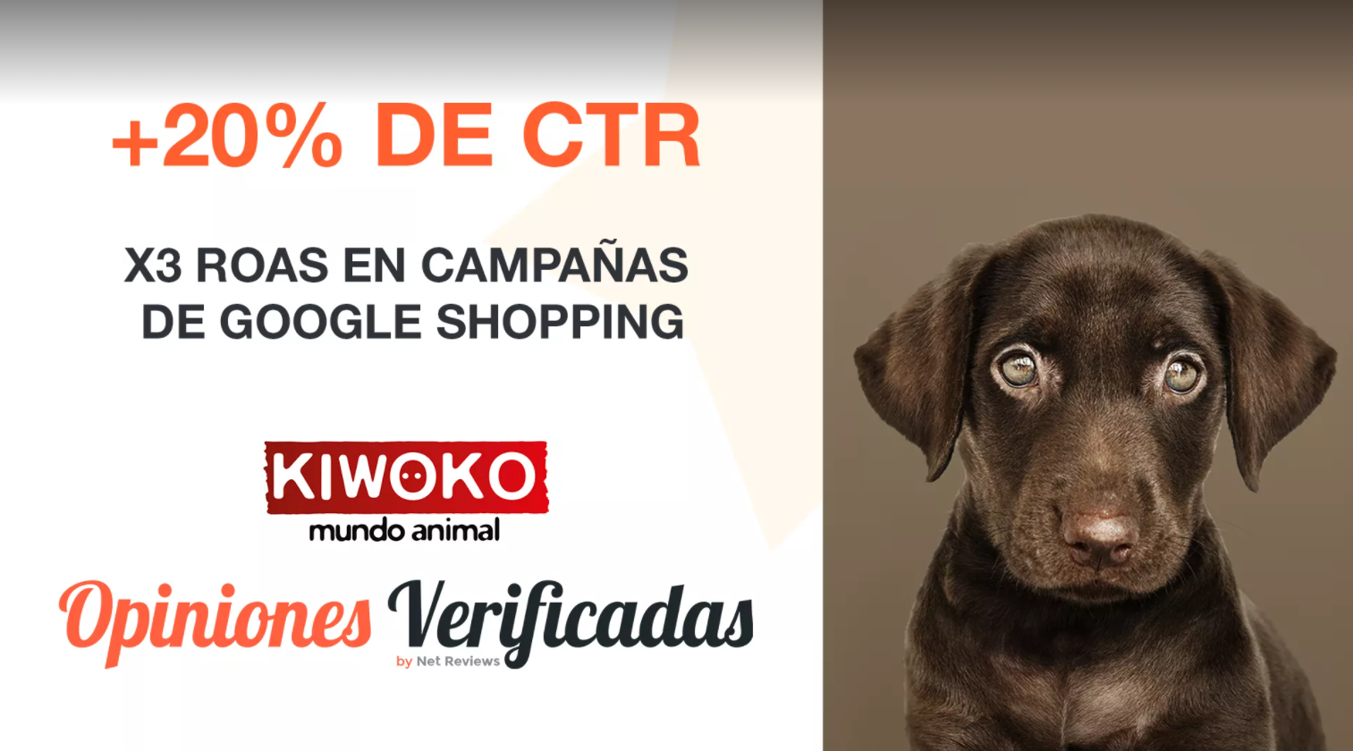 El Chester de Opiniones Verificadas con Estefanía García, eCommerce Director de Kiwoko